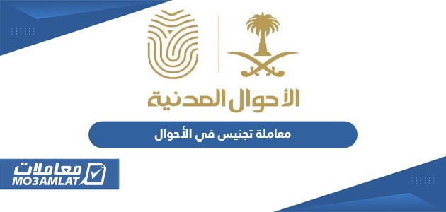 متابعة معاملة تجنيس في الأحوال المدنية السعودية